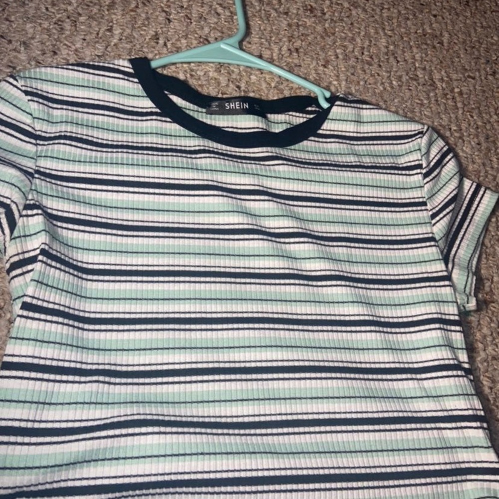 Mint and black striped crop top